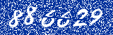 Capcha image
