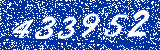 Capcha image