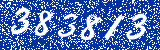 Capcha image
